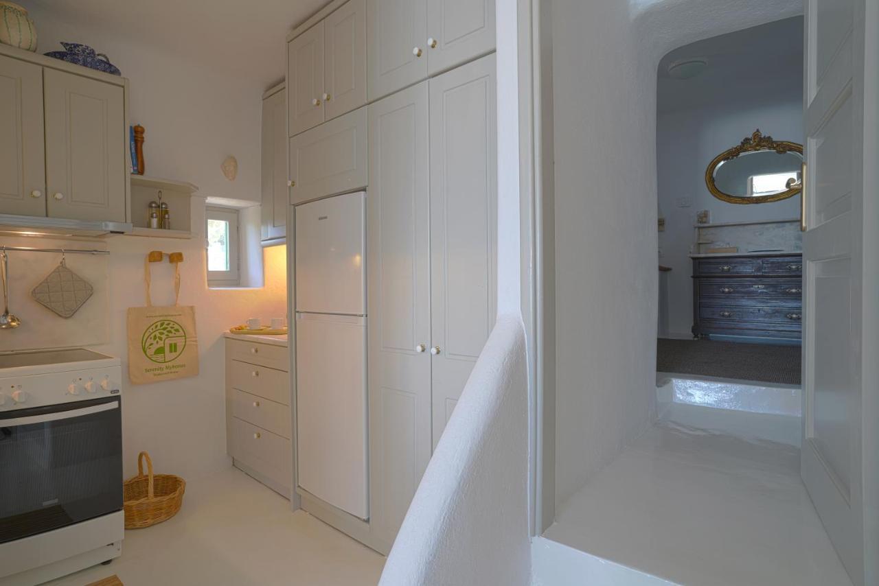 Serenity - Traditional House With Stunning Sea View Tagoo (Mykonos) Exterior foto